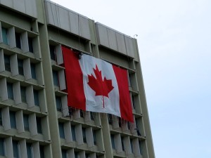 IMG_2257